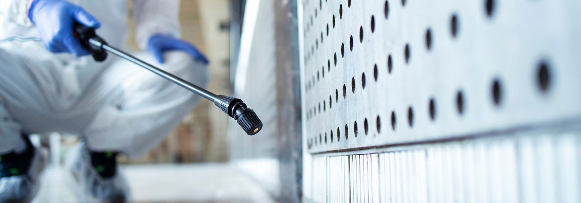 Pest Control Gold Coast